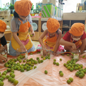 아이 손으로 매실 담그기 요리 다산초교병설유치원 체험 활동